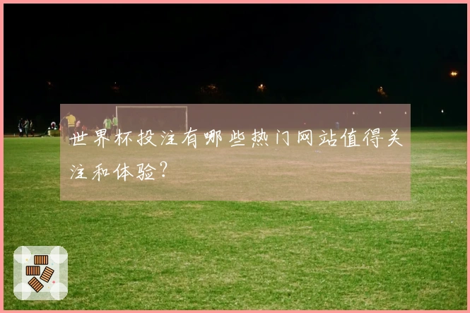世界杯投注有哪些热门网站值得关注和体验？