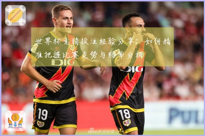 世界杯竞猜投注经验分享：如何精准把握比赛走势与赔率分析