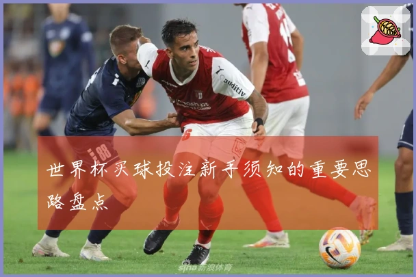 世界杯买球投注新手须知的重要思路盘点