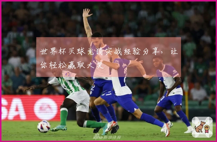 世界杯买球竞猜实战经验分享，让你轻松赢取大奖