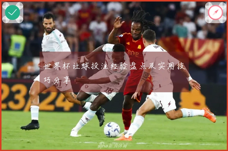 世界杯让球投注经验盘点及实用技巧分享