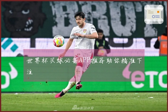 世界杯买球必备APP推荐助你精准下注