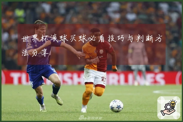 世界杯滚球买球必看技巧与判断方法分享