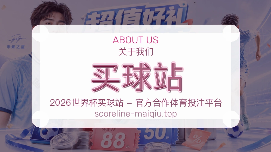 关于 买球站 团队与服务